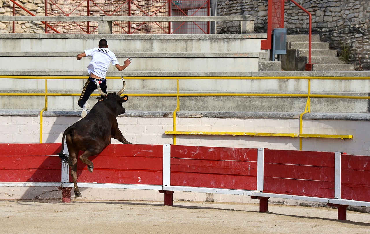 比分上遙遙